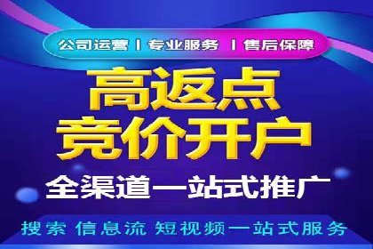 深度解析：百度竞价广告的投放效果与ROI